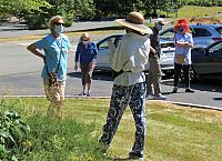 IMG 6732