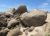 IMG 6951 (2)
