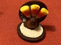 IMG 0192 (3)