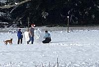 IMG 0340 (2)