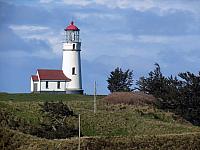 IMG 7185