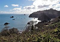 IMG 7214