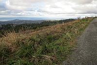 IMG 7219