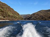 IMG 7363