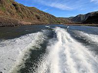 IMG 7368