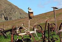 IMG 7406