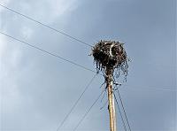 IMG 7456