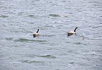 IMG 7554