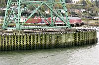 IMG 7650 (2)