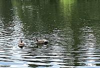IMG 0459