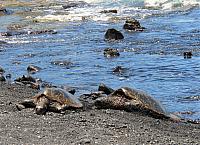 IMG 7747 (2)