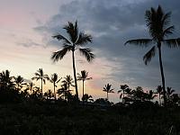 IMG 7768 (2)