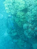 IMG 7802