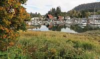 IMG 7914-01