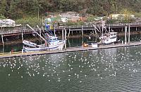 IMG 7951 (2)