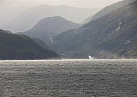 IMG 7965