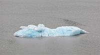 IMG 7977
