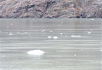 IMG 8059 (2)