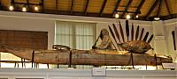 IMG 8085 (2)