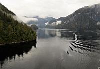 IMG 8120 (2)