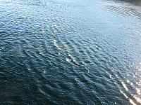 IMG 8213