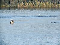 IMG 8216 (2)