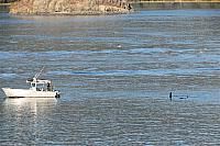 IMG 8219 (2)