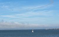 IMG 8294 (3)