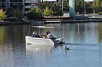 IMG 8890