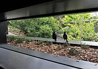IMG 8894
