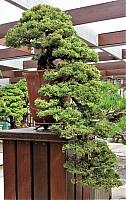 IMG 9220 (2)