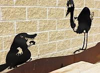 IMG 8647