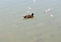 IMG 8679