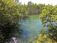IMG 8688