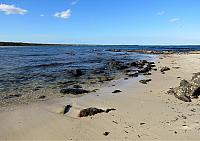 IMG 8713