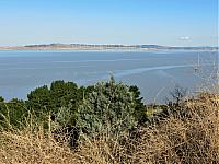 IMG 8818