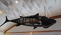 IMG 8968