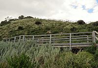 IMG 8985