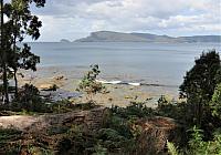 IMG 8993 (2)