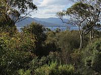 IMG 9020