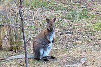 IMG 9039 (2)