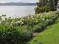 IMG 9062