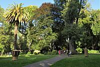 IMG 9106
