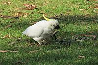 IMG 9119