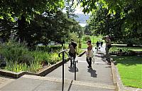 IMG 9134