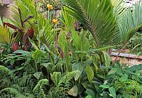 IMG 9148