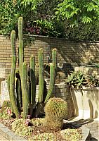 IMG 9153