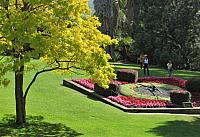 IMG 9163