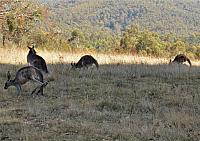 IMG 8830