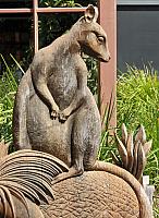 IMG 8862